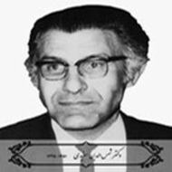Dr. Shamsuddin Mofidi